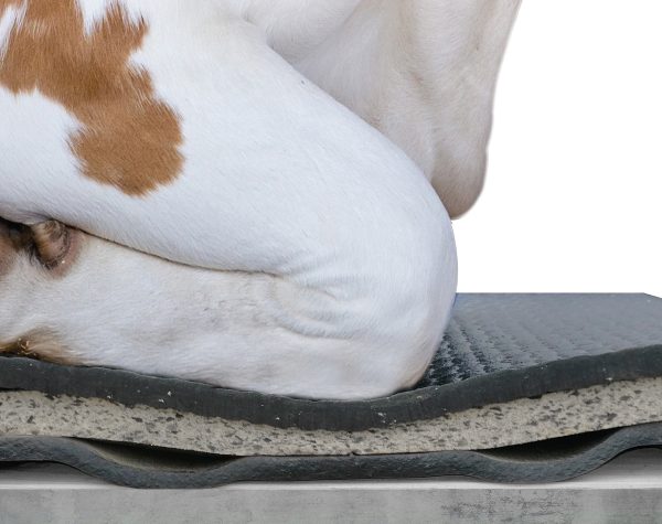 Cow mat mattresses