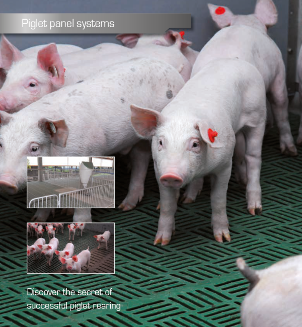 Farrowing Panel system SWING - Image 2