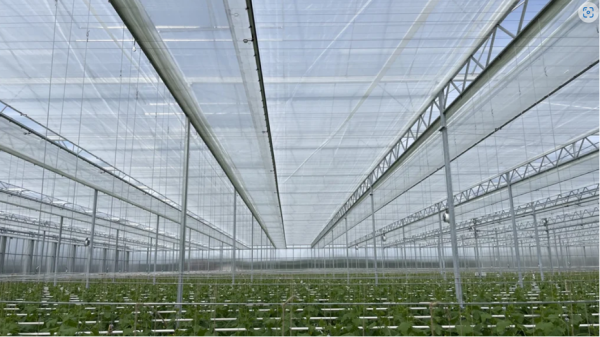 Greenhouse Shading Curtains - Image 5