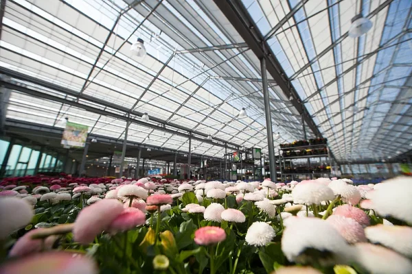 Greenhouse Shading Curtains - Image 4